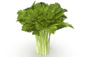 3D celery bunch model