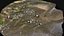 débris pierres herbe terrain photogrammétrie PBR