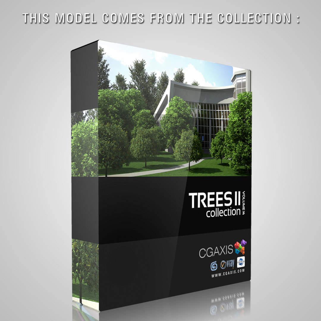 european white birch 18 3d model https://p.turbosquid.com/ts-thumb/Wg/ERKwXN/7J5BzZ4b/modelfrom14/jpg/1317906996/1920x1080/fit_q87/51f64c2aae129c23a1e9af9c8d4563273d0bc085/modelfrom14.jpg