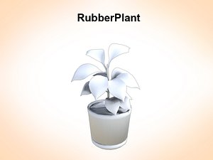 3d rubber plant