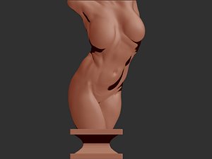 Female torso  3d print 3D