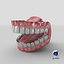 3D Mouth model