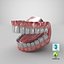 3D Mouth model
