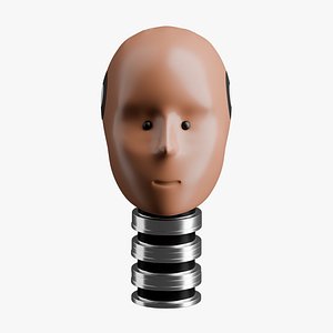 Crash Test Female Head