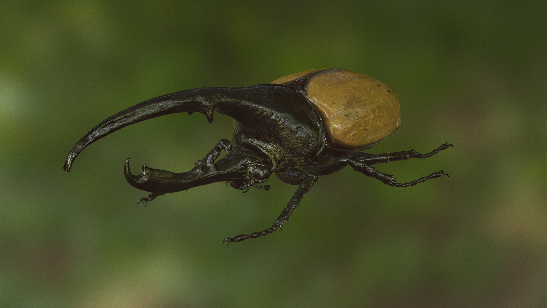 Hercules Beetle Realistic Pbr 3d Max