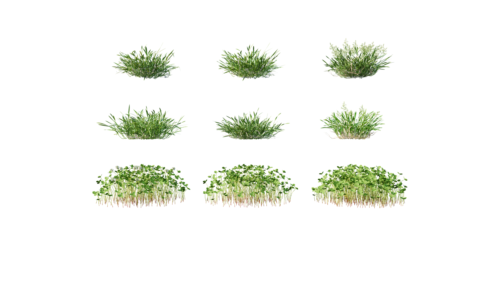 3D Animated lawn - bluegrass with clover https://p.turbosquid.com/ts-thumb/Wh/9ZL5IN/CP/poa_1/png/1657866308/1920x1080/turn_fit_q99/7ac6e845ad109ac1a2359bf2b21cf8ef759bd076/poa_1-1.jpg