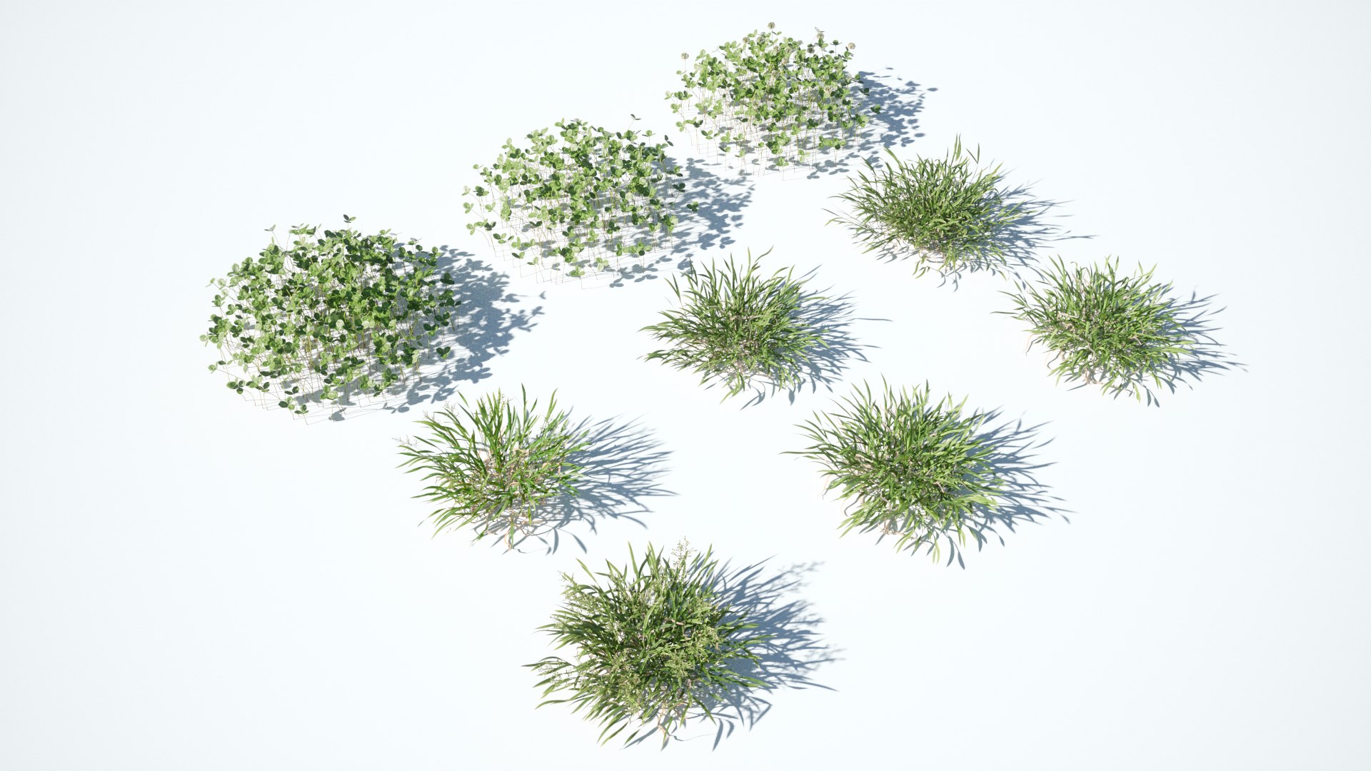 3D Animated lawn - bluegrass with clover https://p.turbosquid.com/ts-thumb/Wh/9ZL5IN/kq/poa_07/png/1657866671/1920x1080/fit_q87/debf71ebcfb0ef6e78e35592775ad69e93ad3f94/poa_07.jpg