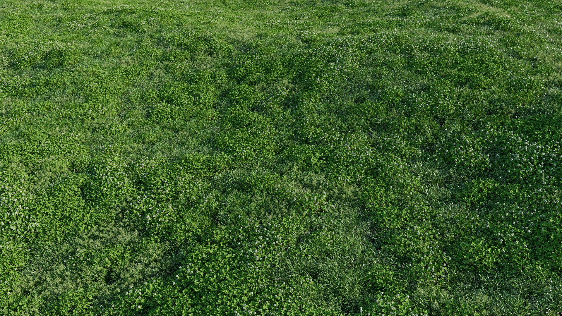 3D Animated lawn - bluegrass with clover https://p.turbosquid.com/ts-thumb/Wh/9ZL5IN/l0/poa_05/png/1657866694/1920x1080/fit_q87/8d29f1f888399825cdac301aedbaa382f20023a2/poa_05.jpg