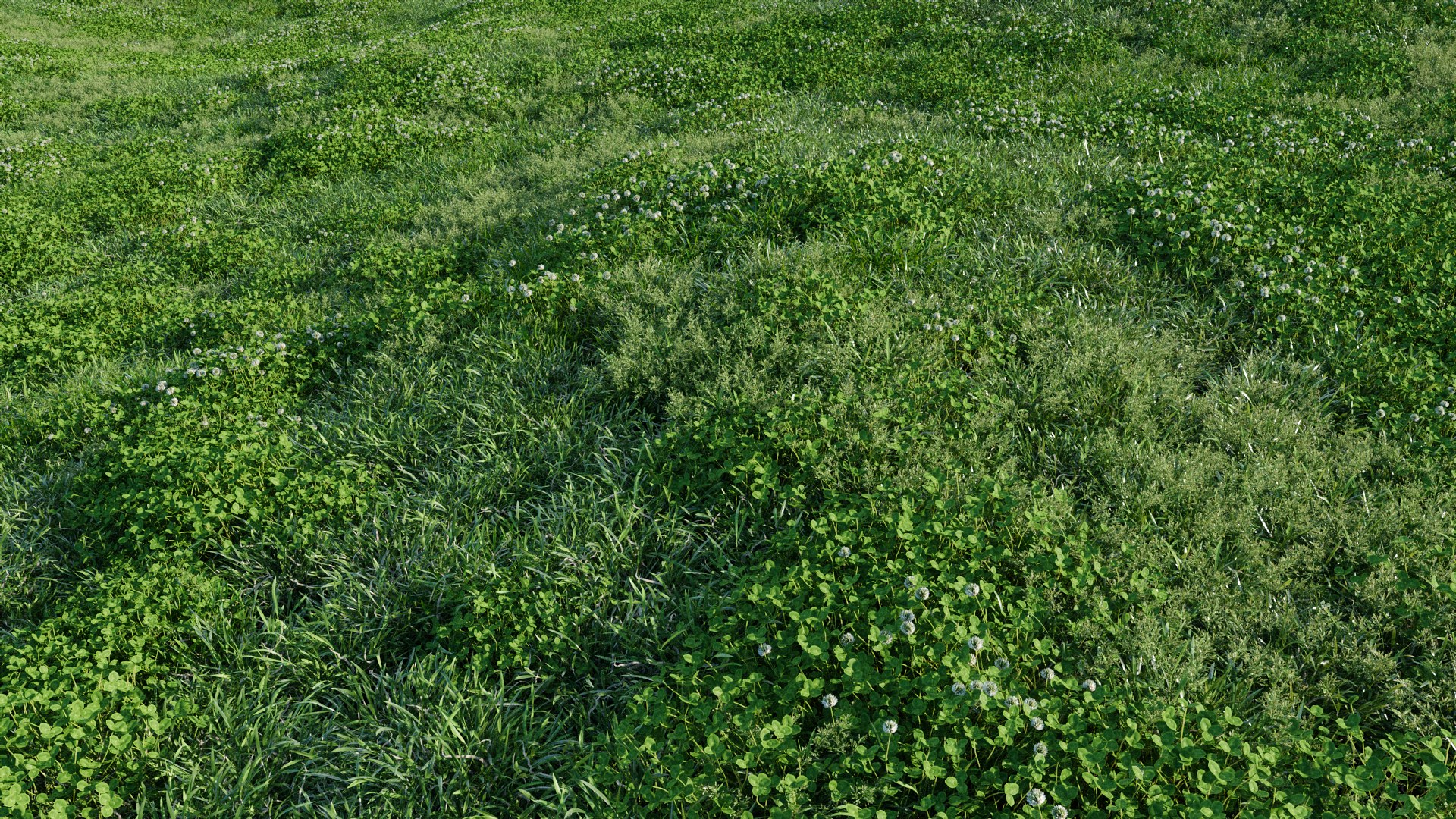 3D Animated lawn - bluegrass with clover https://p.turbosquid.com/ts-thumb/Wh/9ZL5IN/oL/poa_06/png/1657866710/1920x1080/fit_q87/1f0010ea04f5db12b53119b666fd09d0ba72dc27/poa_06.jpg