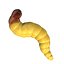 worm1