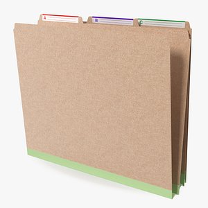 Brown Cardboard File Folder 3D