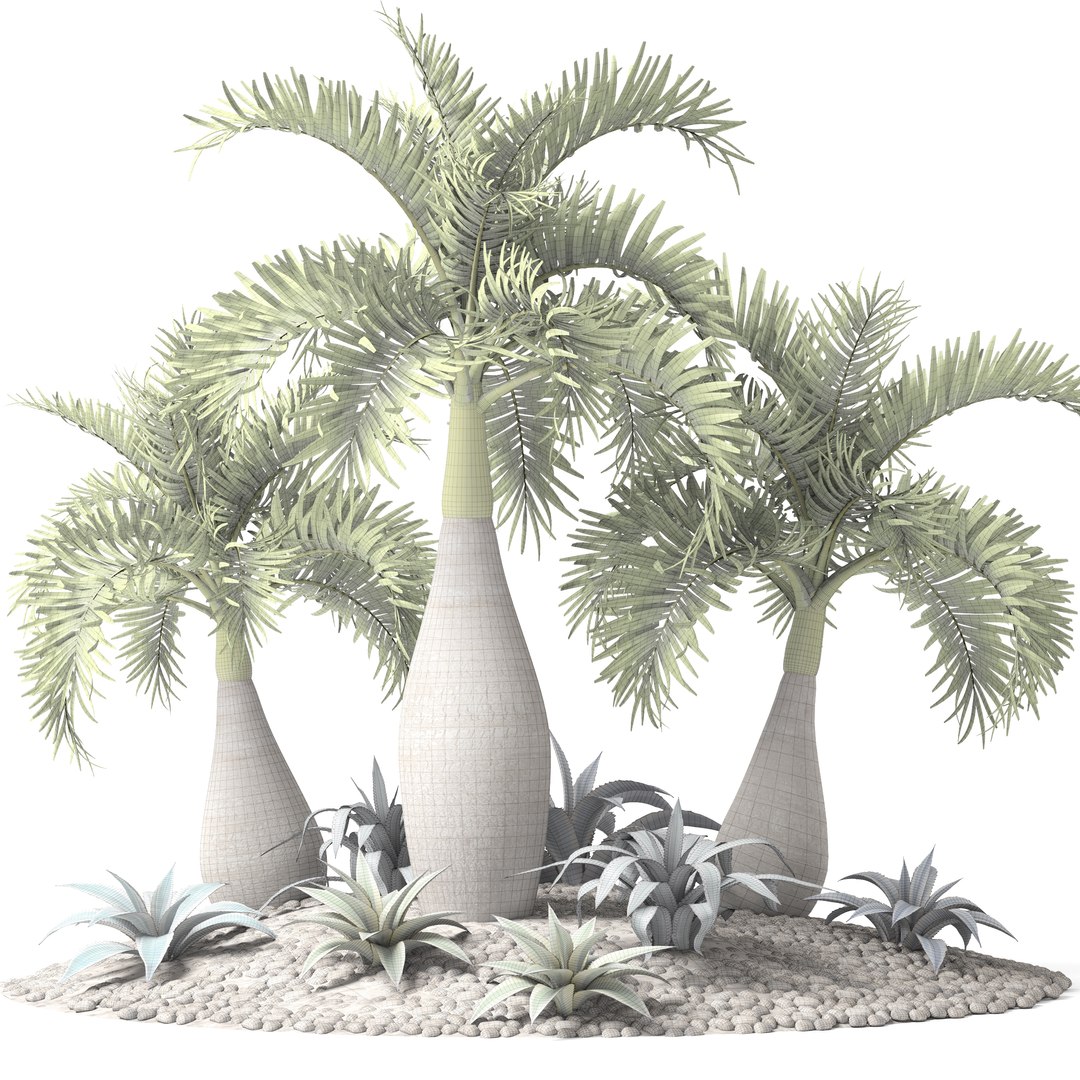 max palm hyophorbe lagenicaulis https://p.turbosquid.com/ts-thumb/Wh/Ww31f6/AYCqDPIR/palmset08/jpg/1487193582/1920x1080/fit_q87/bd5407baa9640d52bc37317c7edcdd165c32bbde/palmset08.jpg