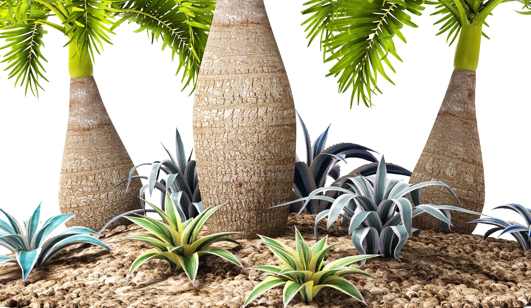 max palm hyophorbe lagenicaulis https://p.turbosquid.com/ts-thumb/Wh/Ww31f6/W8pqzSKi/palmset04/jpg/1487193582/1920x1080/fit_q87/a4ee36fac2e483f89989805edd77079fe87c75a2/palmset04.jpg