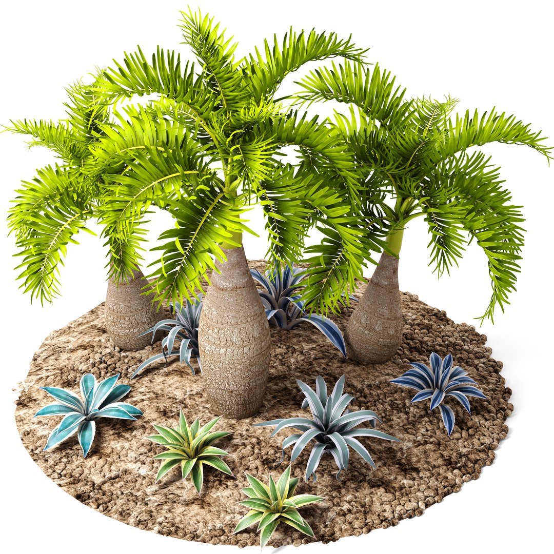 max palm hyophorbe lagenicaulis https://p.turbosquid.com/ts-thumb/Wh/Ww31f6/vSdCXoSi/palmset10/jpg/1487193582/1920x1080/fit_q87/9805ee955a962b584343a0d320511125a006e0da/palmset10.jpg