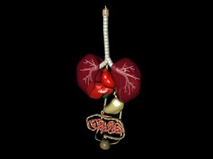 organs all.c4d