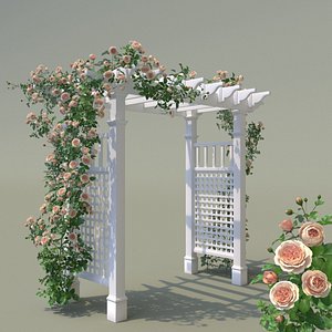 garden arch climbing peony 3D model