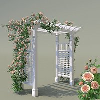 Garden Arch No. 2 Climbing Peony Rose