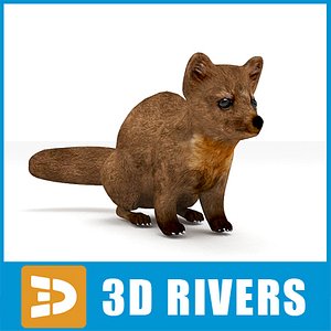 3d model marten animals agile