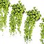 Collection plant vol 454 - pothos - ampelous - hanging - 3dsmax - cinema 4d