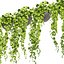 Collection plant vol 454 - pothos - ampelous - hanging - 3dsmax - cinema 4d
