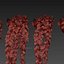 Collection plant vol 454 - pothos - ampelous - hanging - 3dsmax - cinema 4d