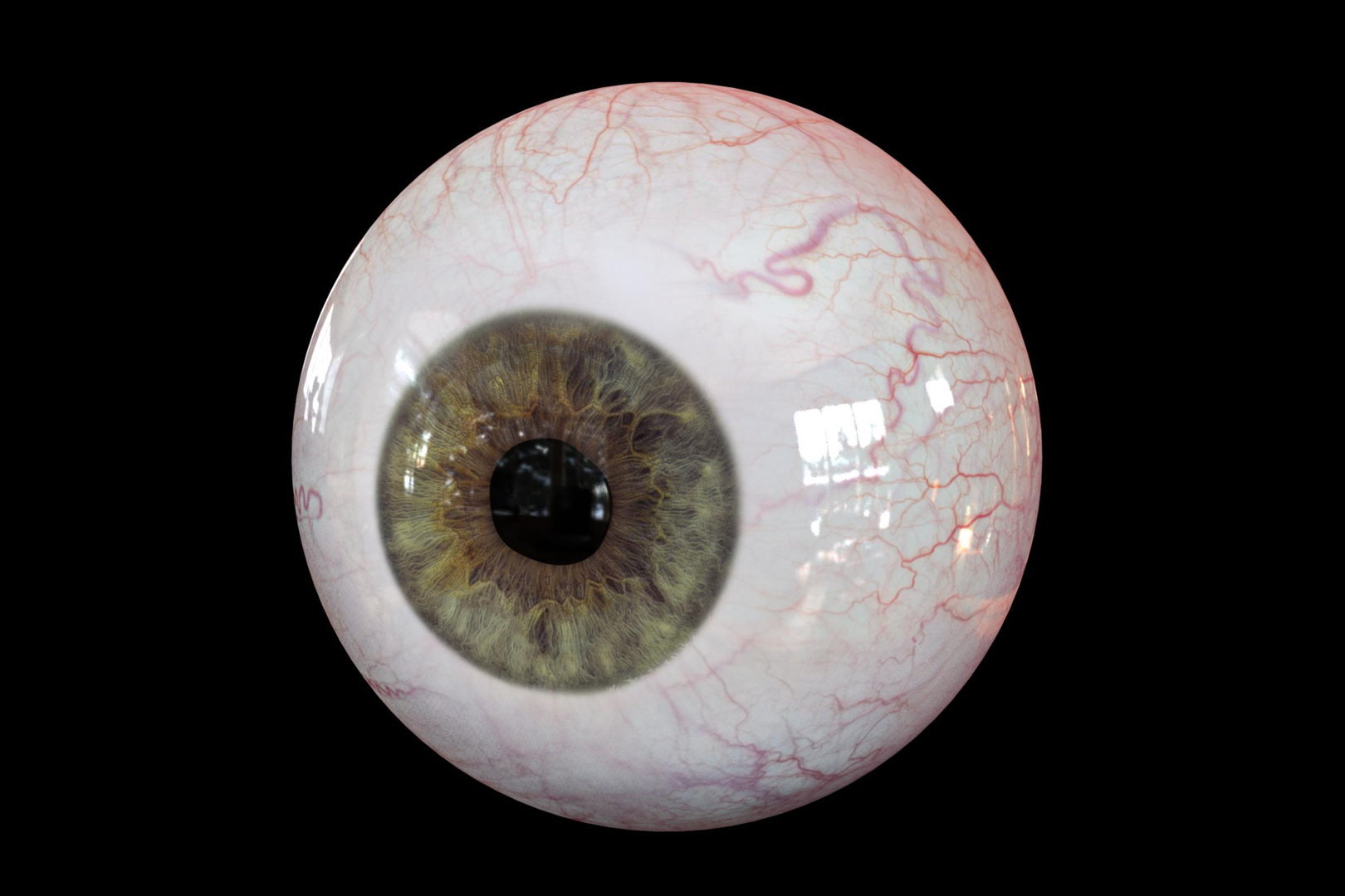 Realistic Human Eye Body Anatomy Model - TurboSquid 1334103