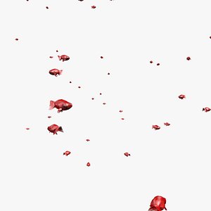 red ranchu goldfishes model