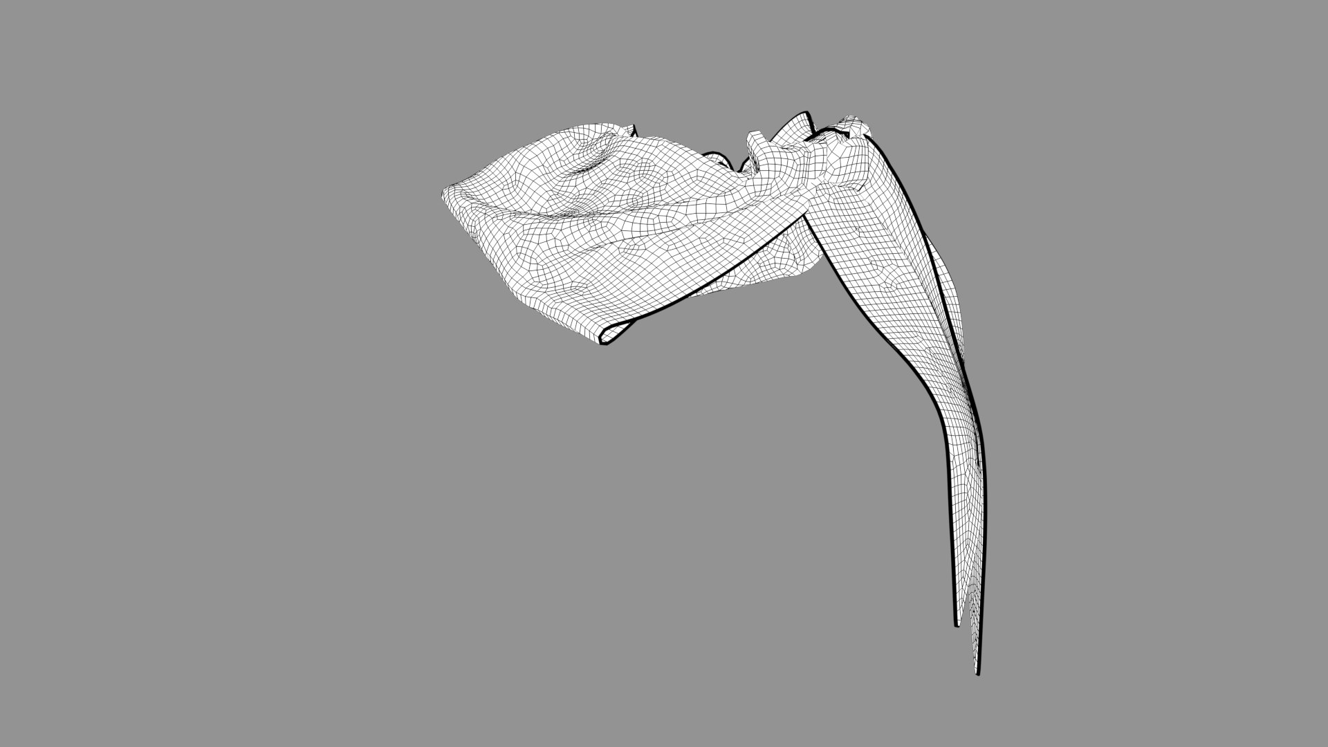 scarf A1 3D https://p.turbosquid.com/ts-thumb/Wh/scMugt/6h/dsada1/png/1666086553/1920x1080/fit_q87/d0164b5e3f9133e71e7eef4ed6e8c83f35f4320f/dsada1.jpg