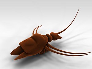 parasite