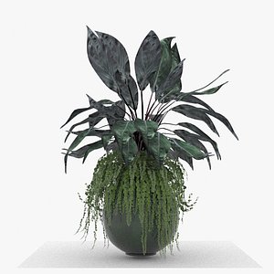 3D m55  Green plant in big vase