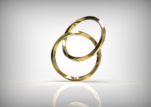 Twist Ring model
