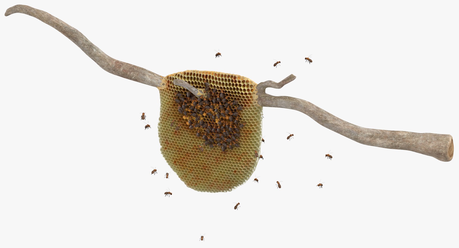 3D model bee hives - TurboSquid 1396927