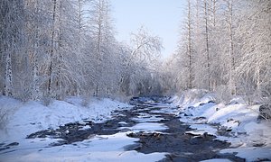 mysterious winter river 3D model