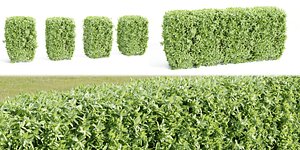 3D Laurel Hedging Bushes collection vol 129-Blender