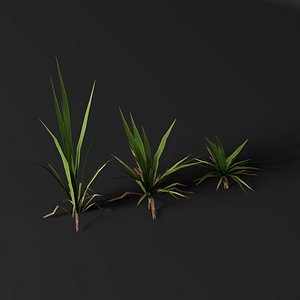 3D Realistic Ornamental Grass Clumps
