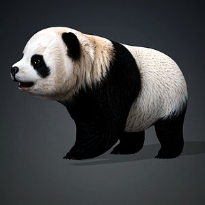 Panda-A1 3D model