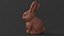 Chocolate Easter Bunny