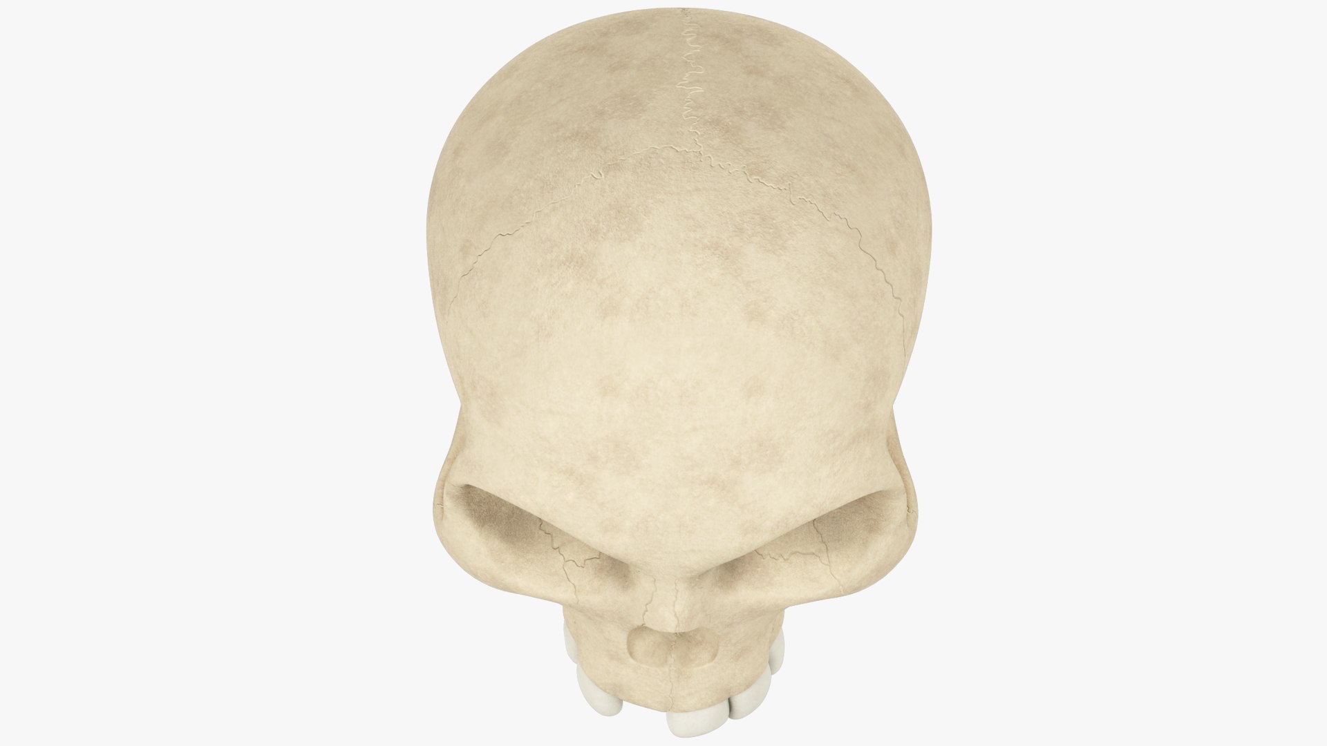 3D Halloween Collection V5 https://p.turbosquid.com/ts-thumb/Wj/1NIBT9/0J/ss_004_008/png/1726270884/1920x1080/fit_q87/38e310635875fa4d8d0d147ac391065184b7dfb4/ss_004_008.jpg