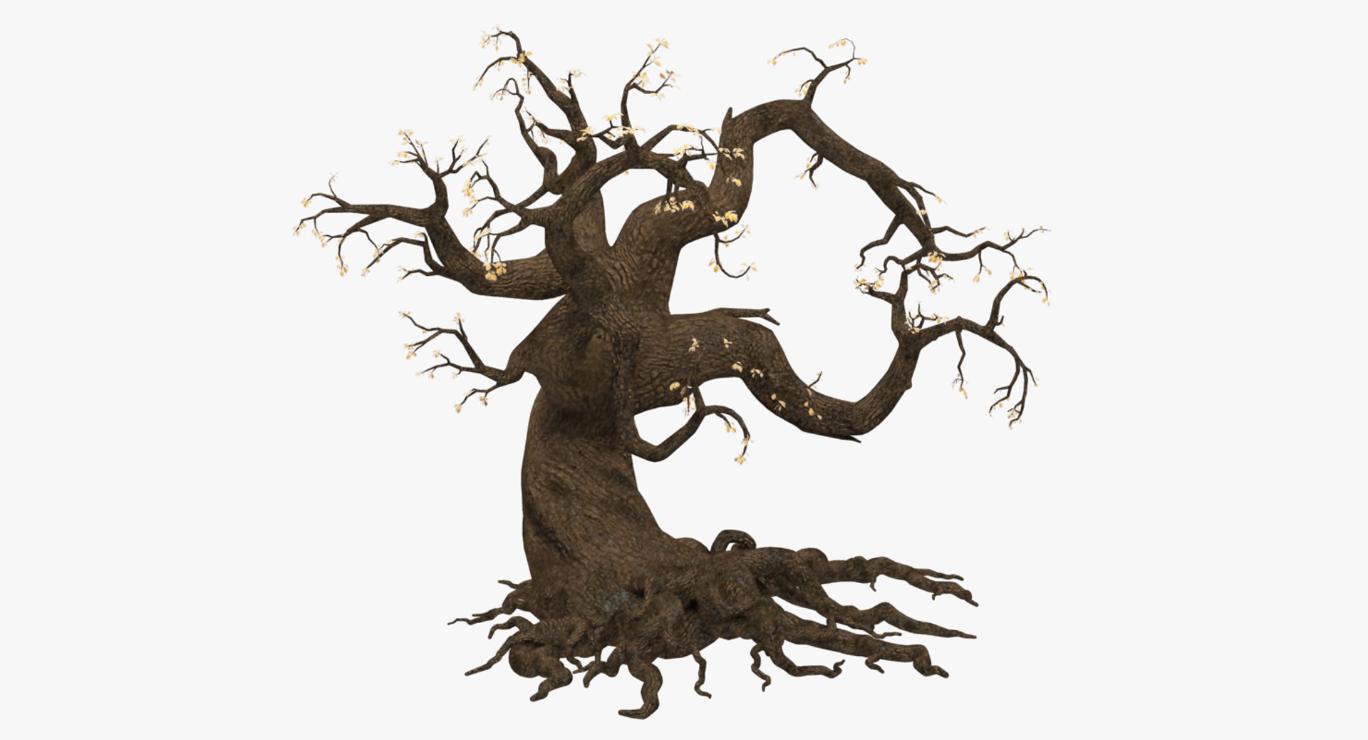 3D Halloween Collection V5 https://p.turbosquid.com/ts-thumb/Wj/1NIBT9/VR/fgc2f_004_004/png/1726271118/1920x1080/fit_q87/d82baed7ec5bd337583dce4254b4e7ecb0e43f97/fgc2f_004_004.jpg