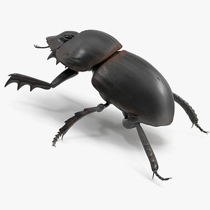 3D Mud Beetle Dirty Rigged for Maya