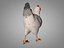 poulet