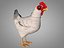 poulet