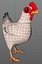poulet