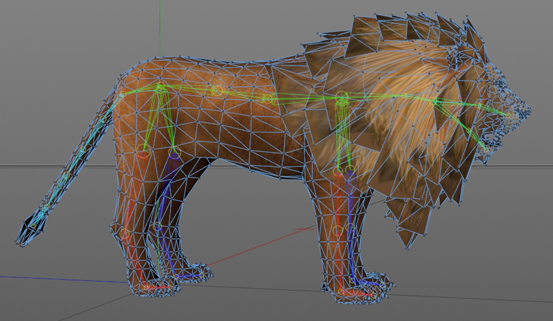 Lion 3D Model - TurboSquid 1536580