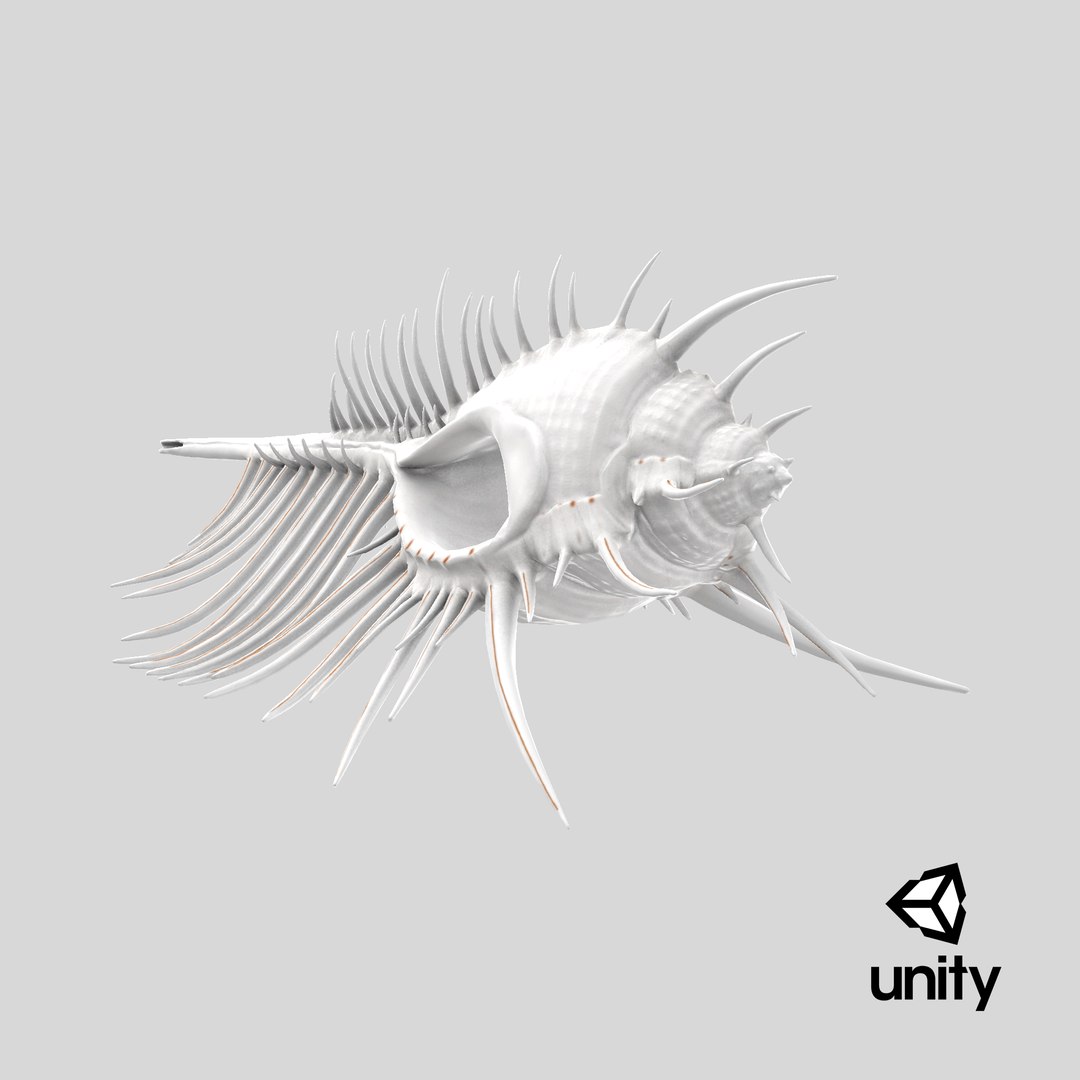 3D model Seashell Venus Comb Murex White https://p.turbosquid.com/ts-thumb/Wj/Ior426/3S/stemcell_unity_render/png/1718792466/1920x1080/fit_q87/83a5c815d949dc7b71d92b9580ea5e7f0e4d66f0/stemcell_unity_render.jpg