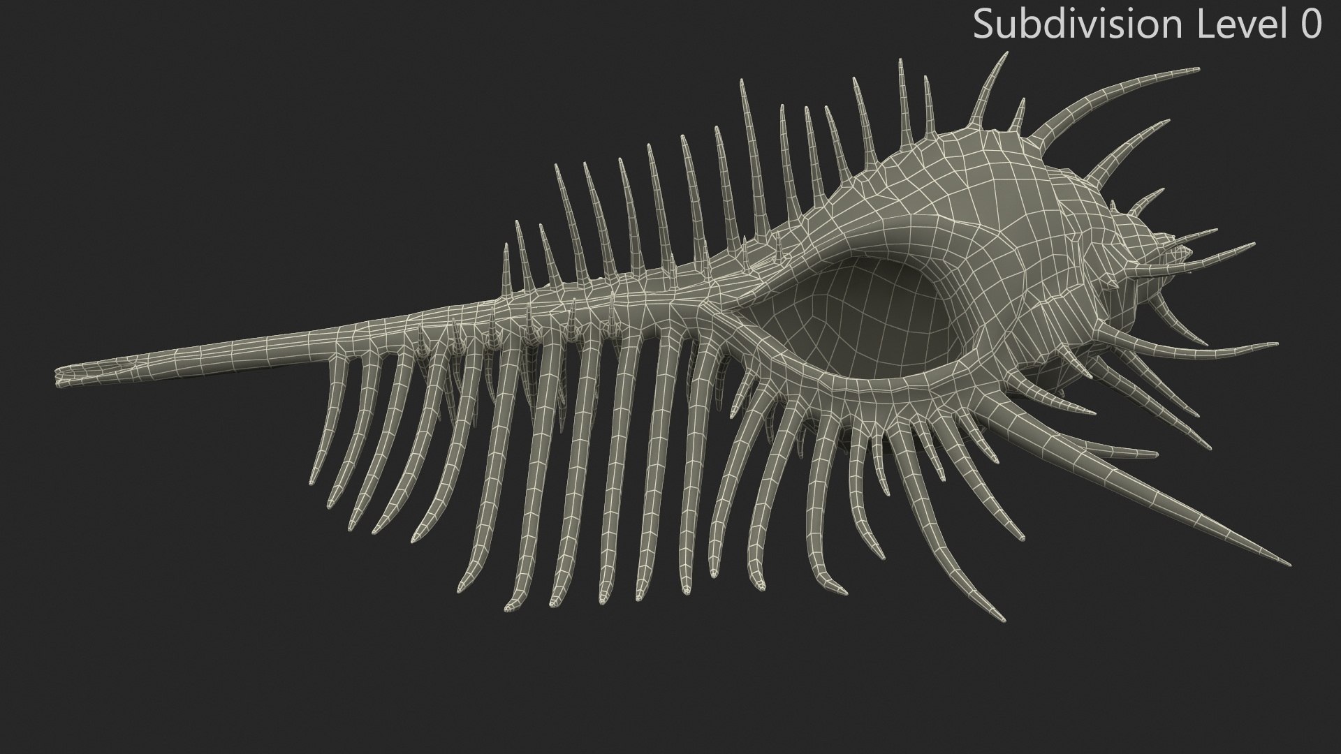 3D model Seashell Venus Comb Murex White https://p.turbosquid.com/ts-thumb/Wj/Ior426/Gm/seashellvenuscombmurexwhitec4dmodel011/jpg/1716332034/1920x1080/fit_q87/37fe21834ff6e5af96c25d6eee1cfc1e9a2301e8/seashellvenuscombmurexwhitec4dmodel011.jpg