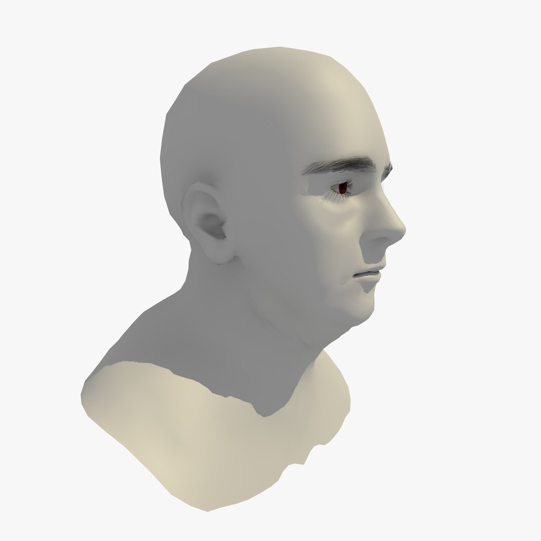Realistic Head Base Mesh 3D - TurboSquid 1440273