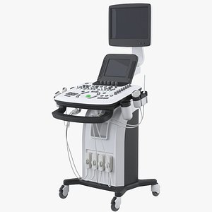 ultrasound 3D model