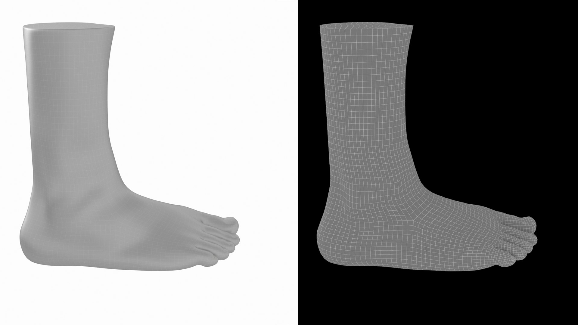 Male Feet Base Mesh 3D Model - TurboSquid 2163147