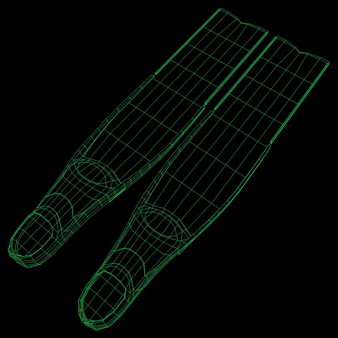 Spearfishing Carbon Fins 3d Model